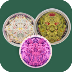 הסלטים הביתיים