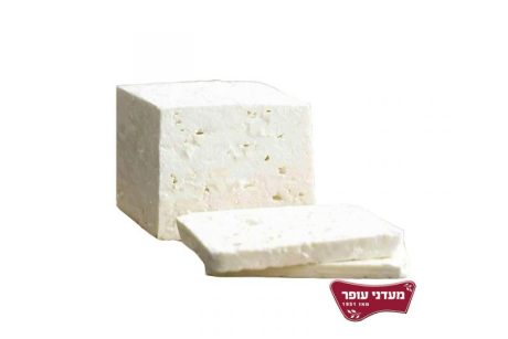גוש גבינה בולגרית 24% | מלוחה