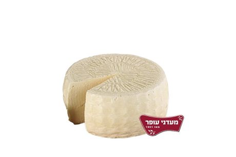 גבינה צפתית קשה 16%